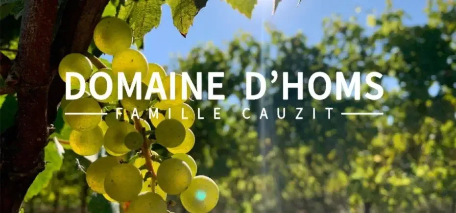 Domaine d'Homs