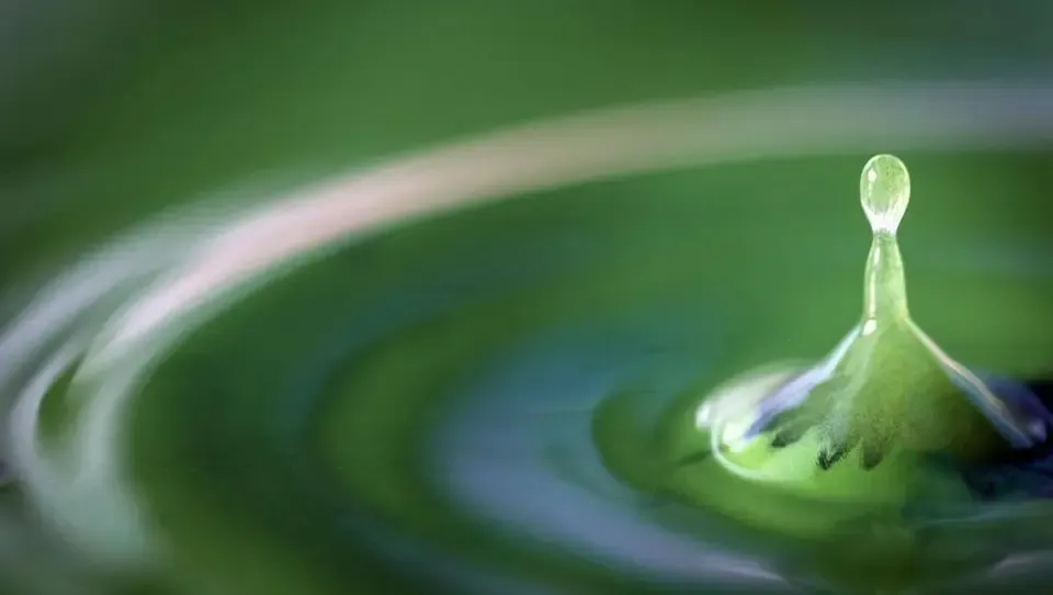 Spiruline Croqu' la vie