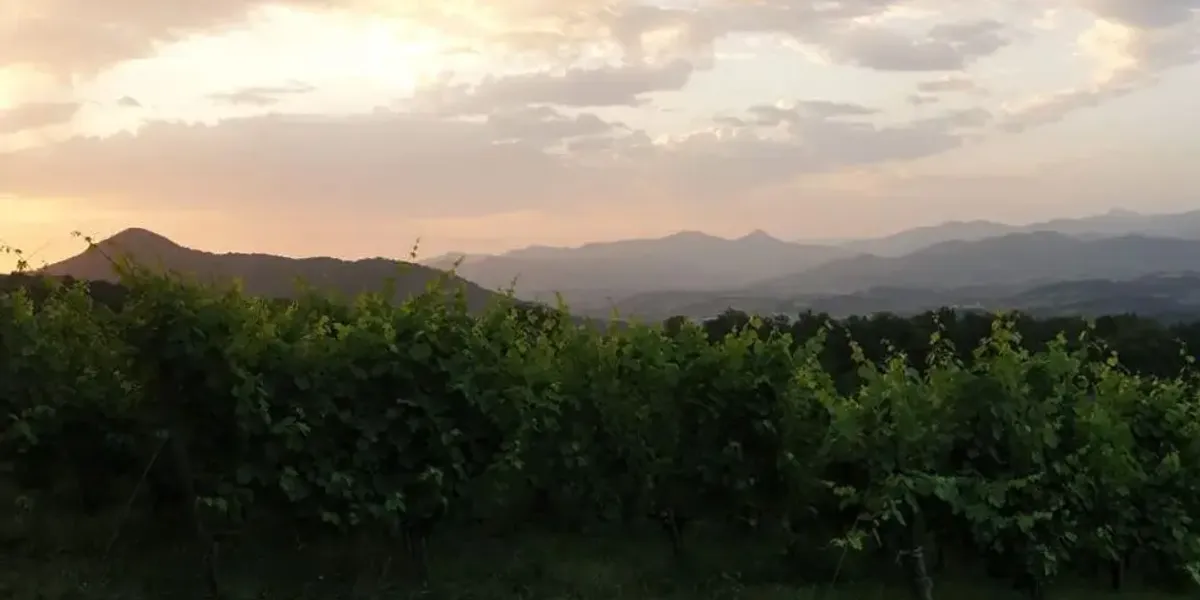 Domaine Ilarria