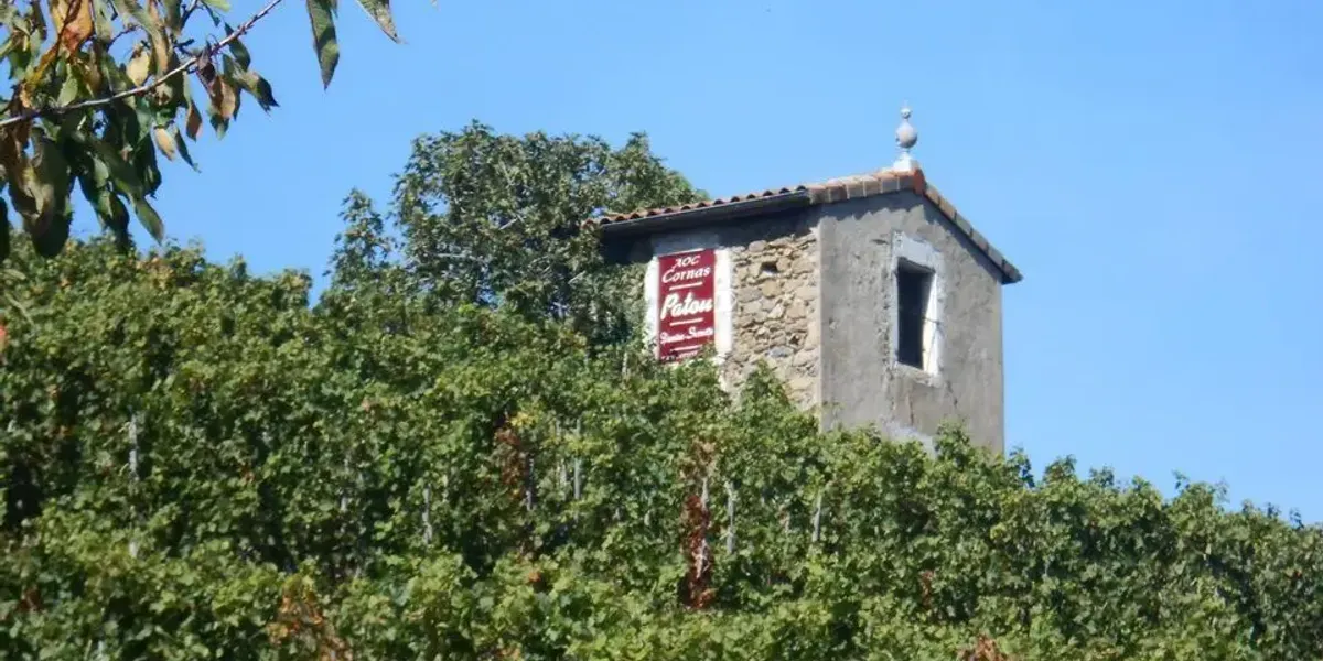 Domaine Dumien Serrette