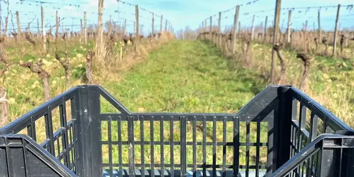 Domaine de Dame Bertrande
