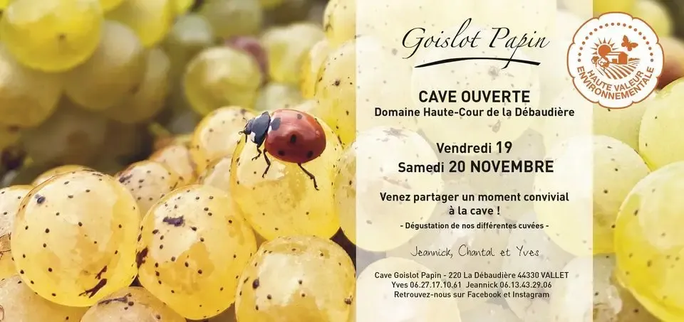 Cave Goislot Papin