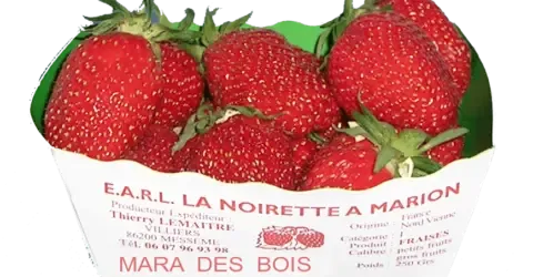 Earl la Noirette A Marion