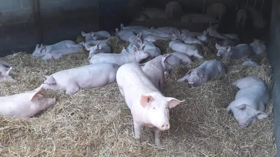 Ferme De La Lande