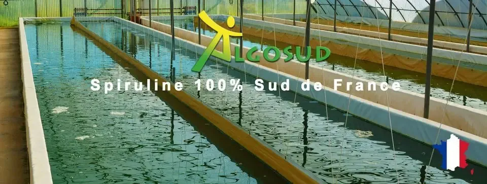 Algosud