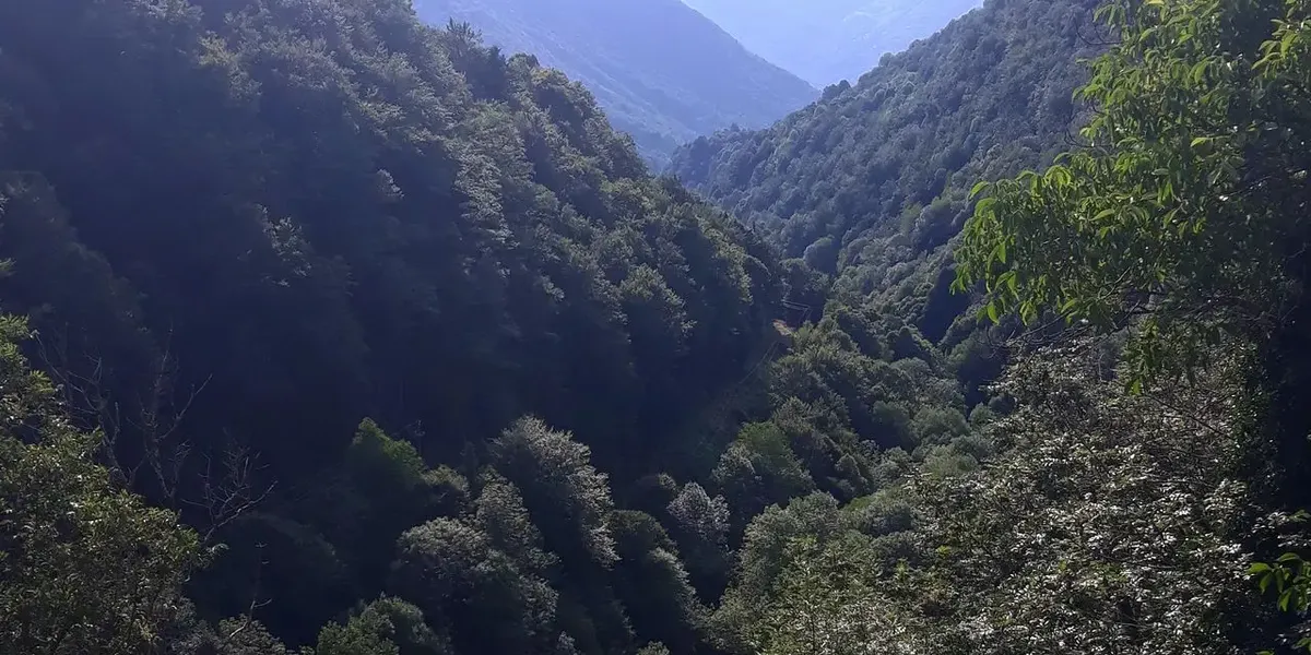 La Montagne Magique