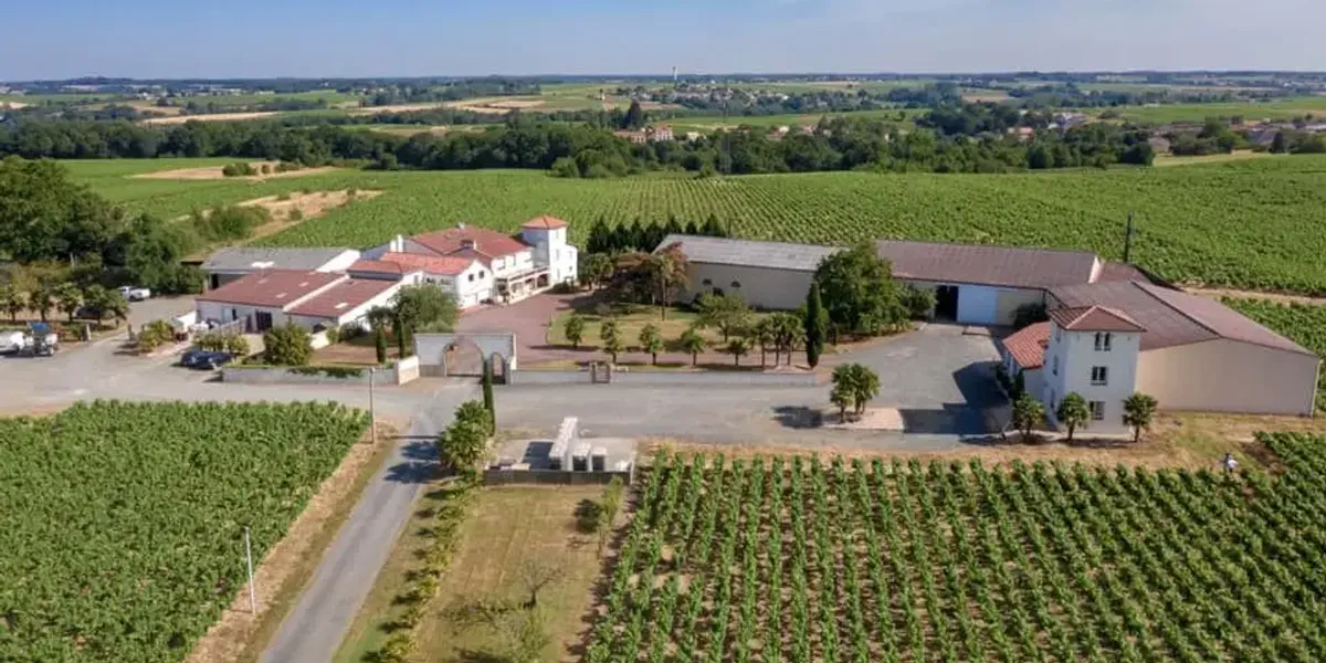 Naulin Brothers Vignards