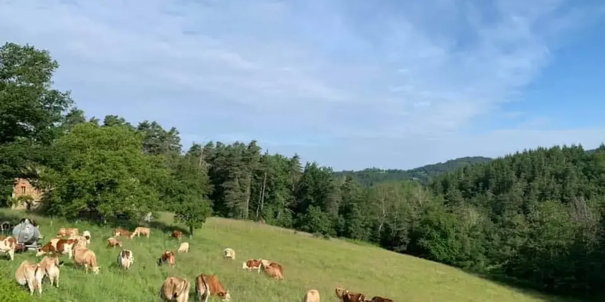 La Ferme des Terres Creuses