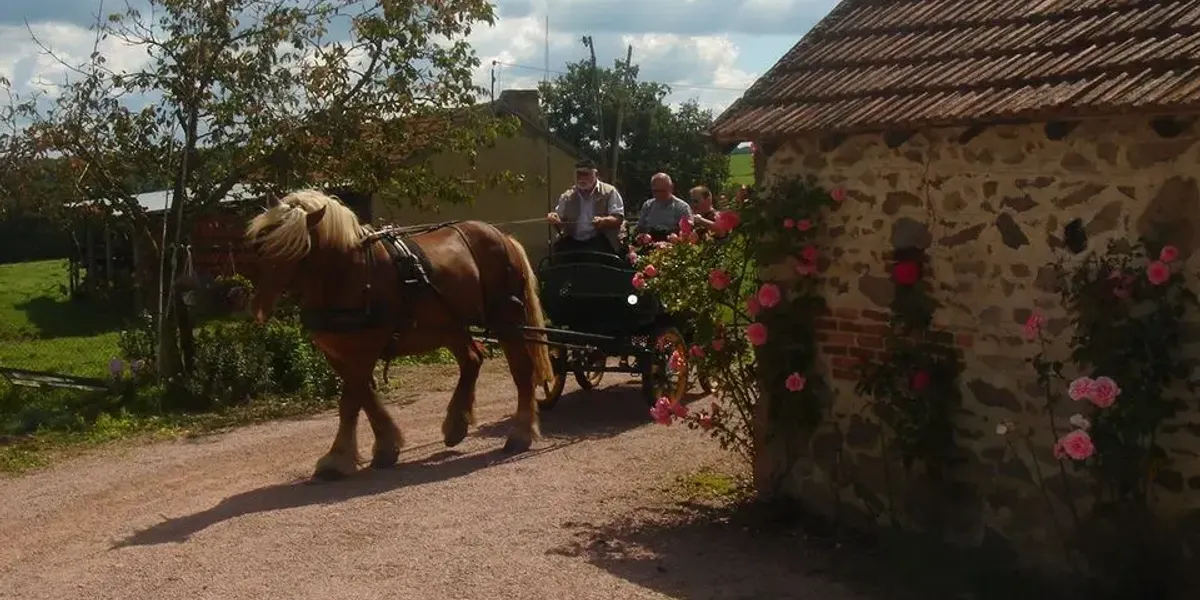 Ferme Auberge Le Vieux Logis -Laforêt Brigitte