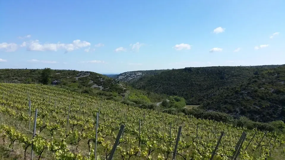 Domaine de Couchalou