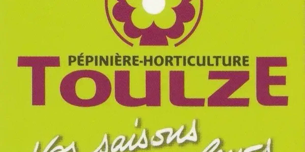 Toulze Henri (Sarl)