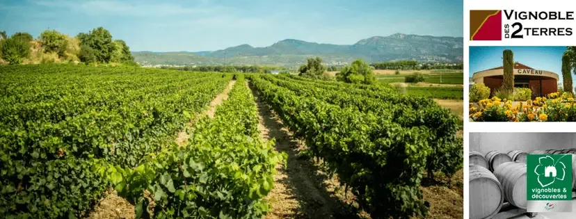 Vignoble des 2 Terres - Caveau de Saint Felix
