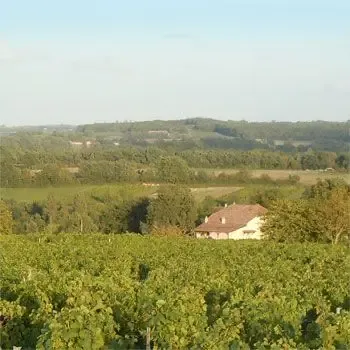 Huré vignobles