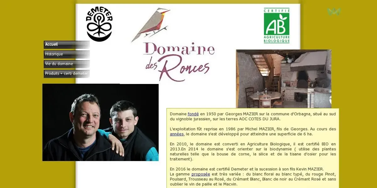 Domaine des Ronces - Mazier Michel