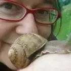 Logo de LES ESCARGOTS DES ENCLOS