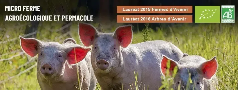 La Ferme Du Vieux Poirier