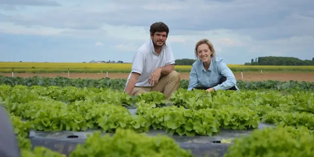 Le Potager de Diane Maraîcher