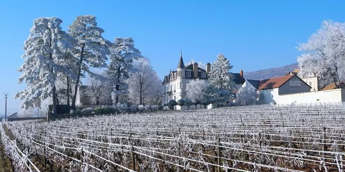 Domaine Chapelle