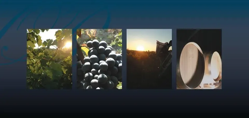 Domaine Olga Raffault