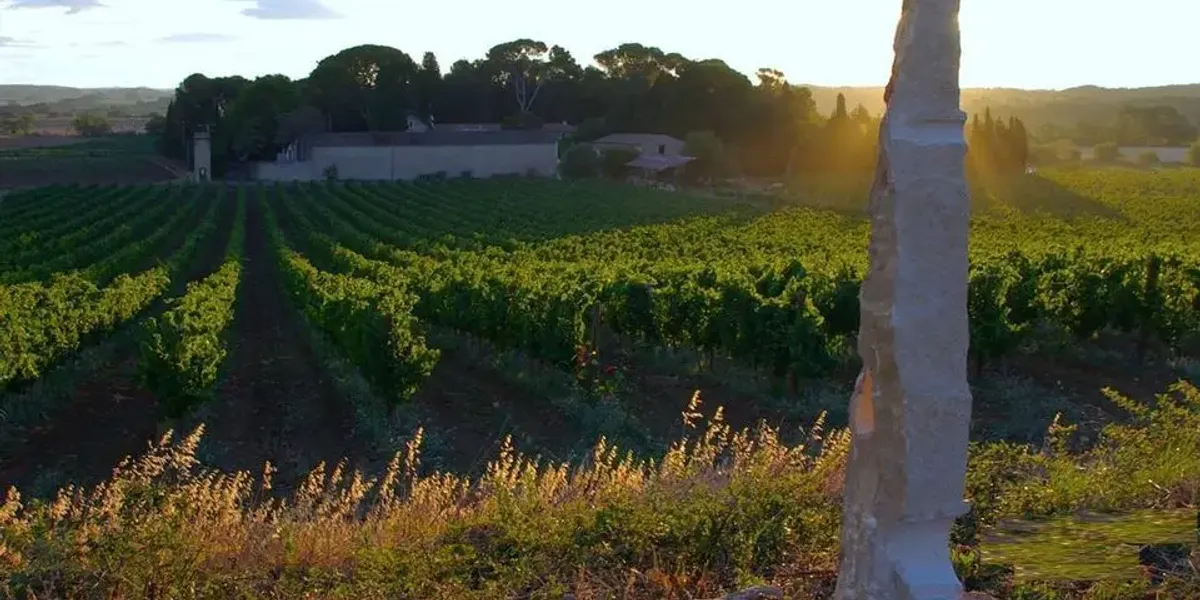 Domaine Saint Hilaire