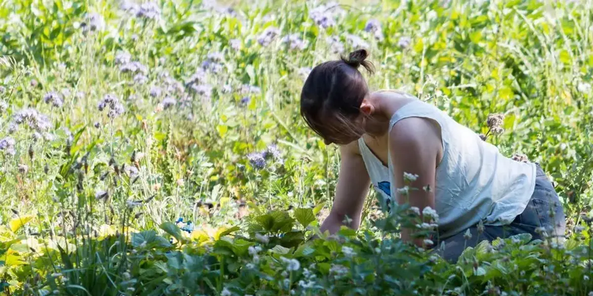 Le Potager de Laurence
