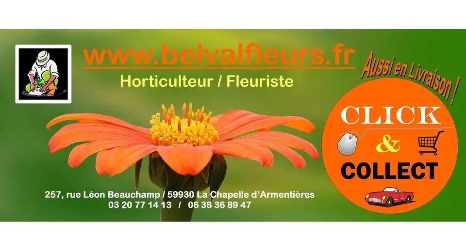 BELVAL FLEURS