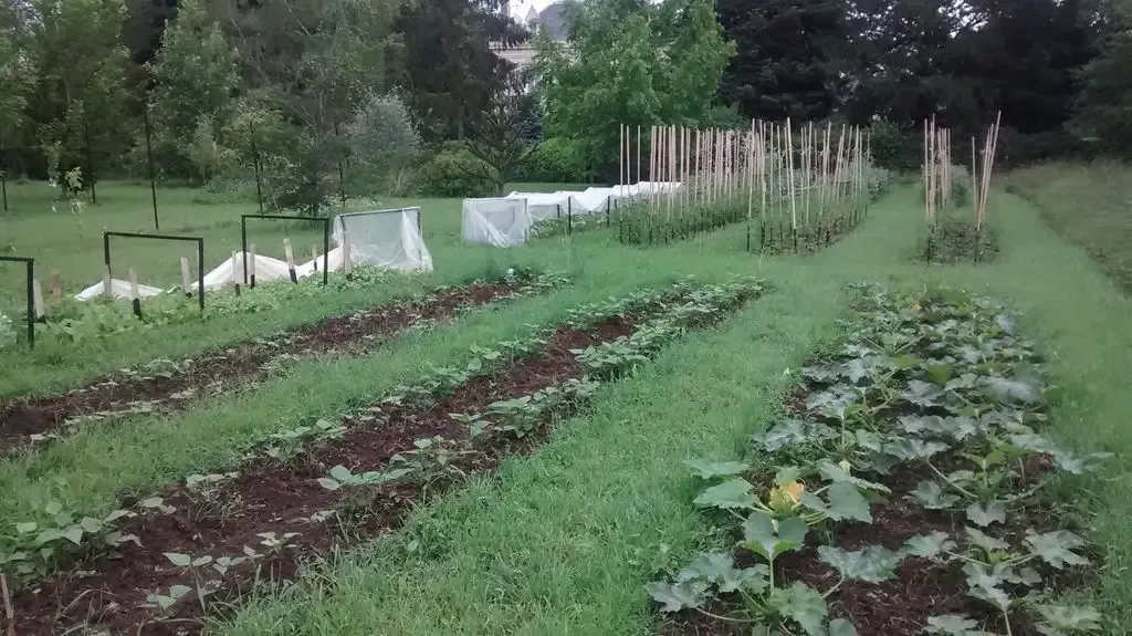 Biomariagere