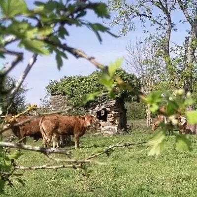 La Ferme des Tronques