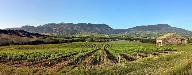 Domaine du Rieu Frais