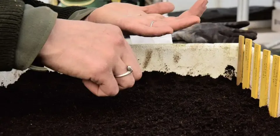 La Terre Ferme