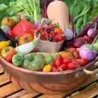 Logo de Nimaplants (SAS) pour les particuliers
