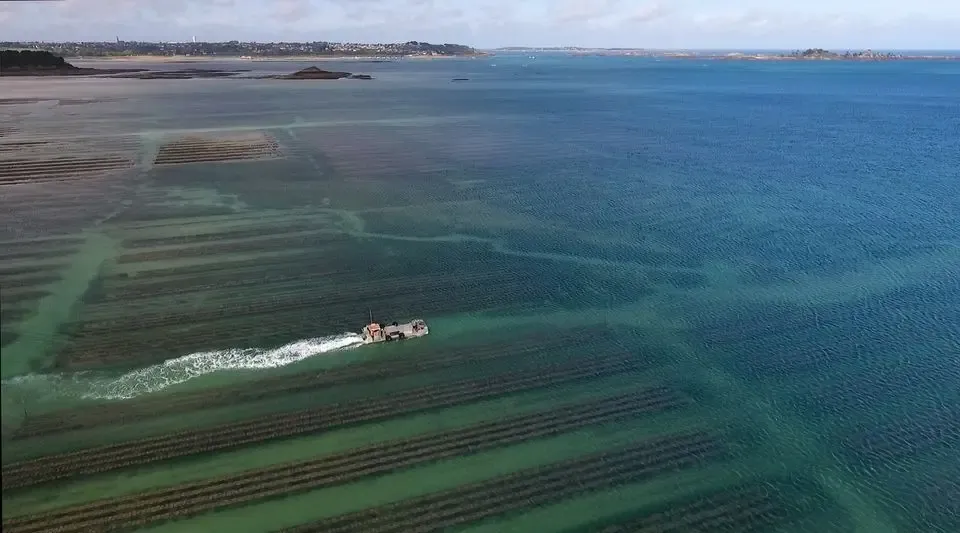 Ferme Marine Paimpolaise