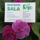 Logo de Maison Sala
