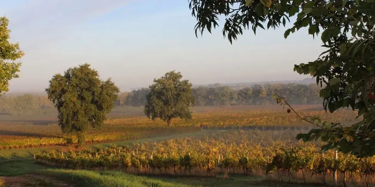 Château Penin - Vignobles Carteyron