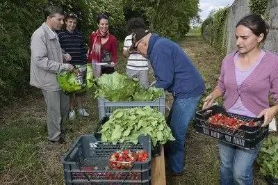 Amap De L'ostrevent