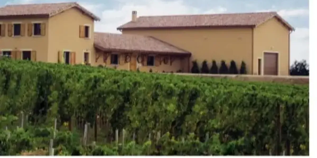 Vignobles Roland Grangier