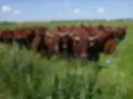 Salersbio.Com