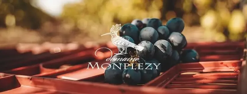 Domaine Monplezy