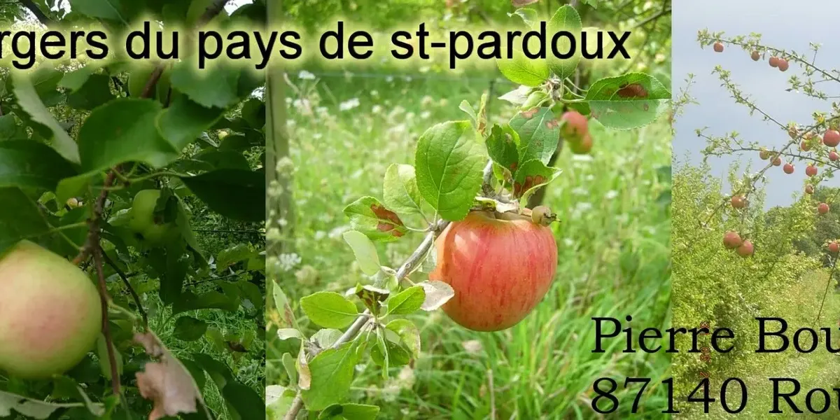 Les Vergers Du Pays De St-Pardoux