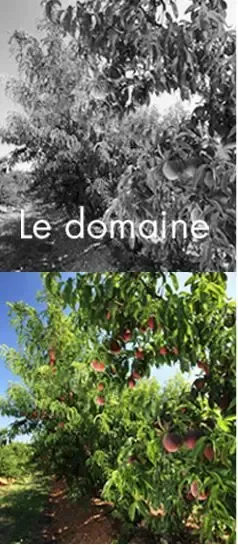 Domaine Des Coteaux
