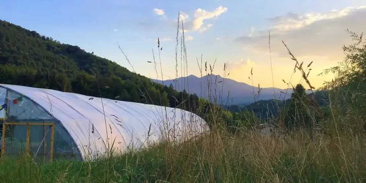 Ôde des Pyrénées, producteur de spiruline paysanne française