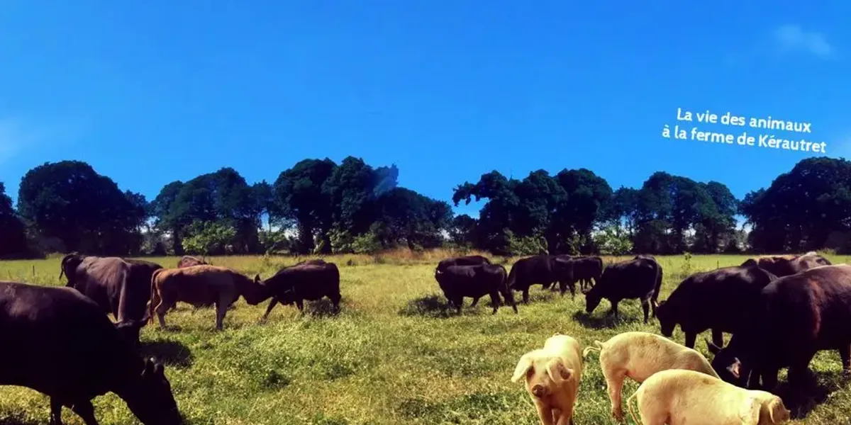 La Ferme De Kérautret