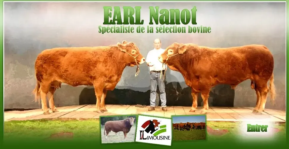Nanot Jean Louis