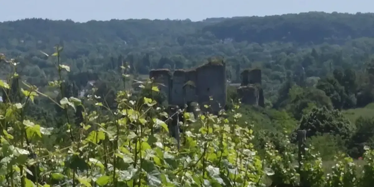 Domaine Martelliere