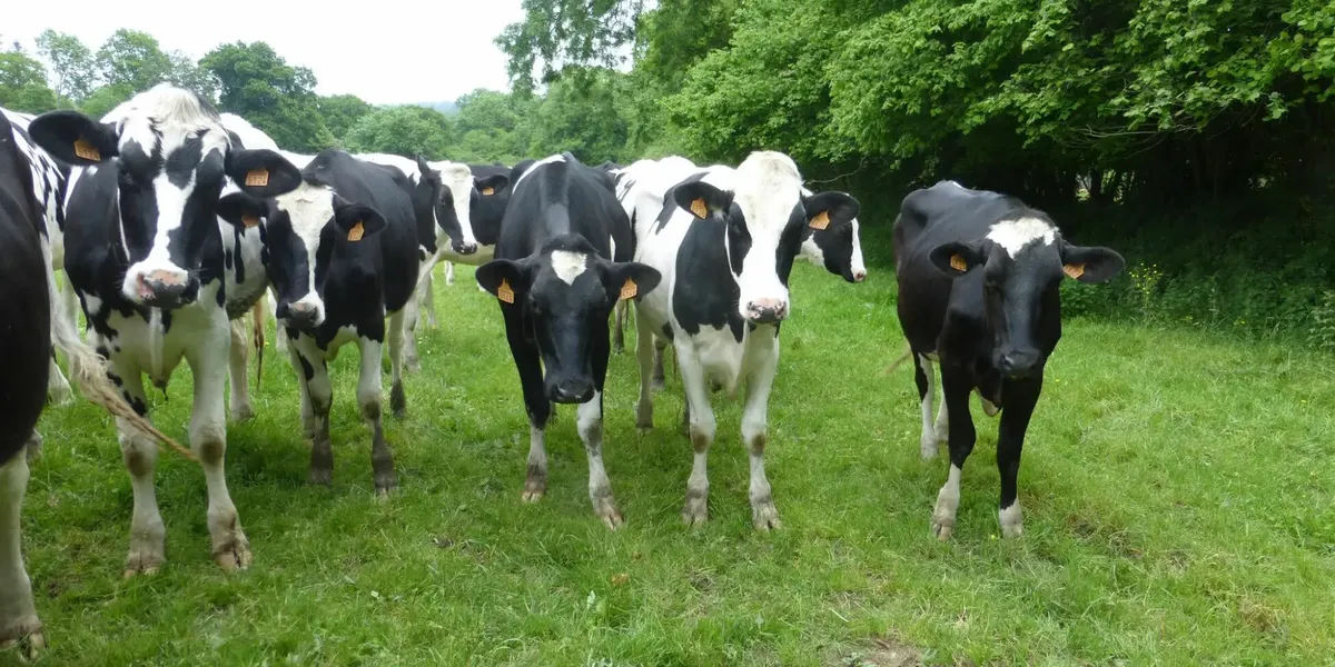 Ferme de la Chouquerie