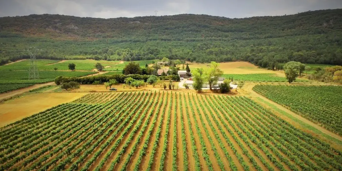 Domaine de La Mongestine