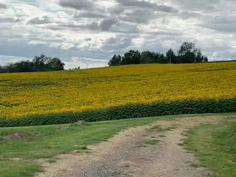 Ferme Moulié - l'estanquet deu guit - Famille Ducamp