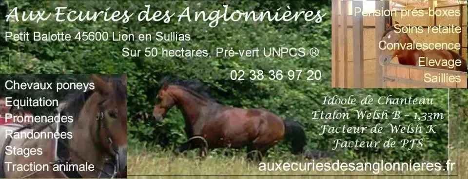 Aux Ecuries des Anglonnières