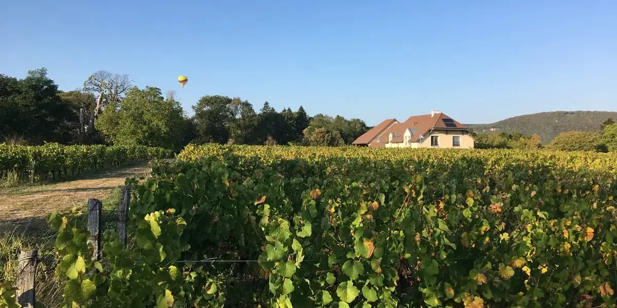 Le Clos des Grives