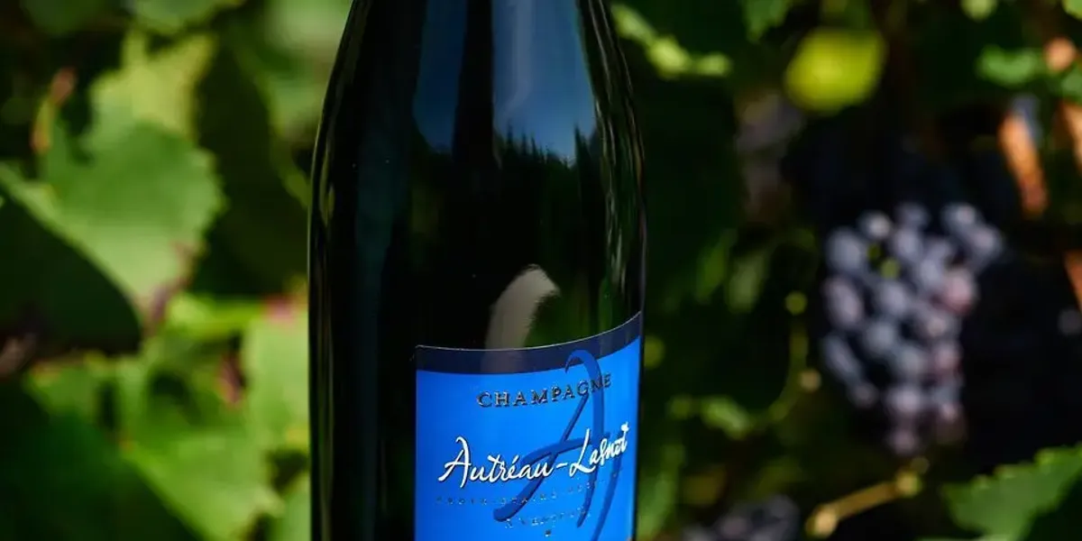 Autreau Lasnot - Champagne